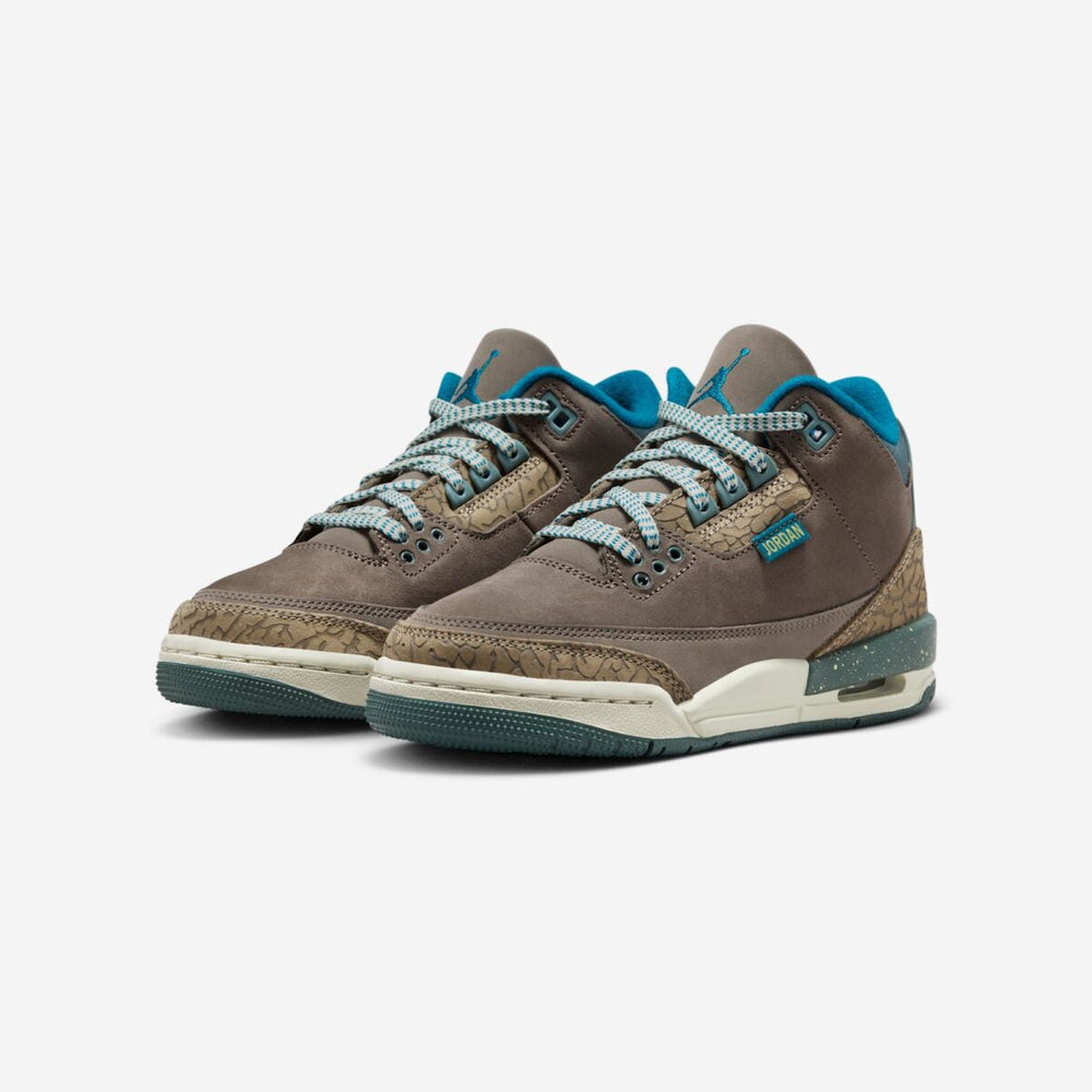 Kid's Air Jordan 3 "We Outside" (GS)