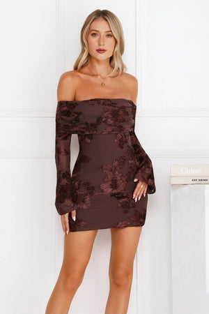 Styled To Impress Off Shoulder Mesh Mini Dress Chocolate